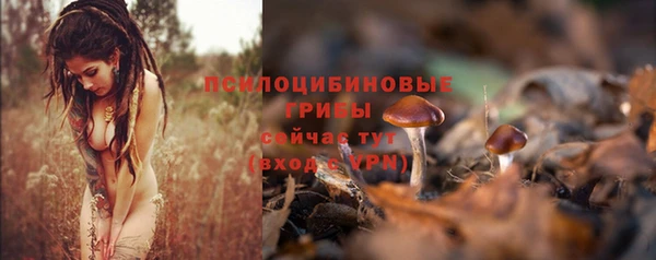синтетический гашиш Рославль