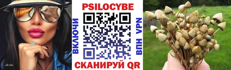 Галлюциногенные грибы Psilocybe  Купить  Баймак 